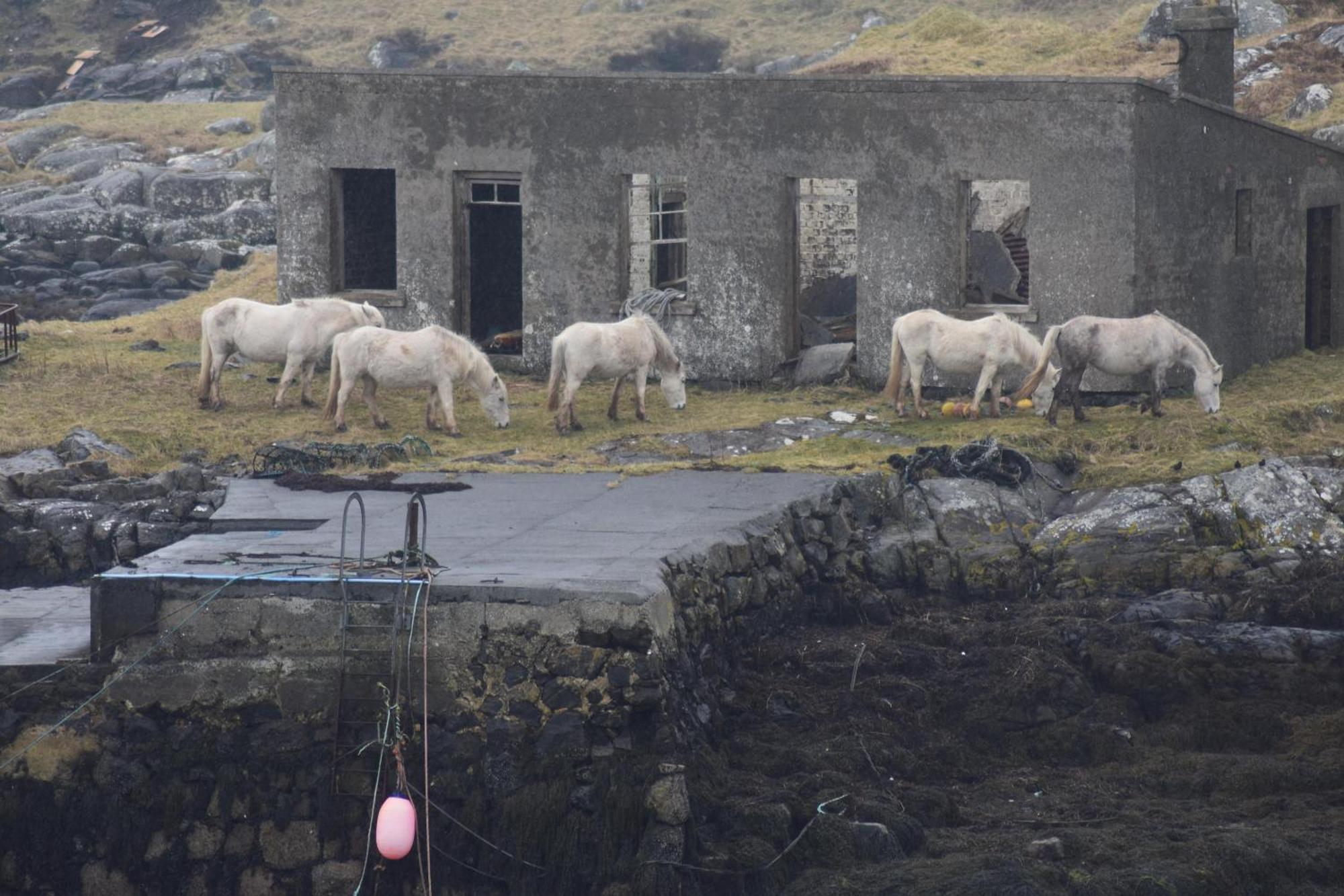 Glamping Pod For 2 Pod Beag Na Haun Eriskay Villa Bagian luar foto