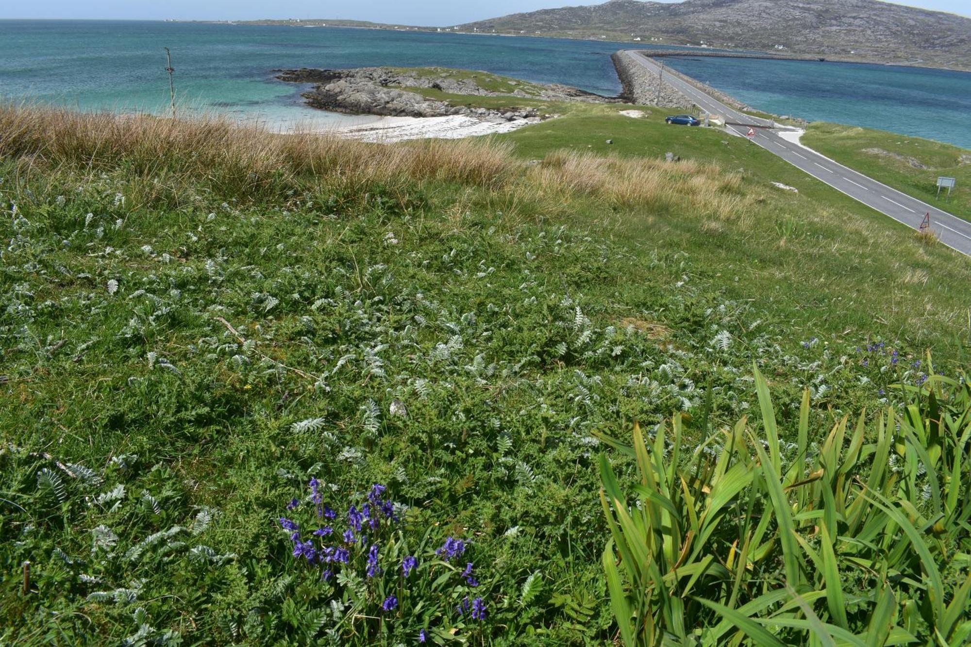 Glamping Pod For 2 Pod Beag Na Haun Eriskay Villa Bagian luar foto
